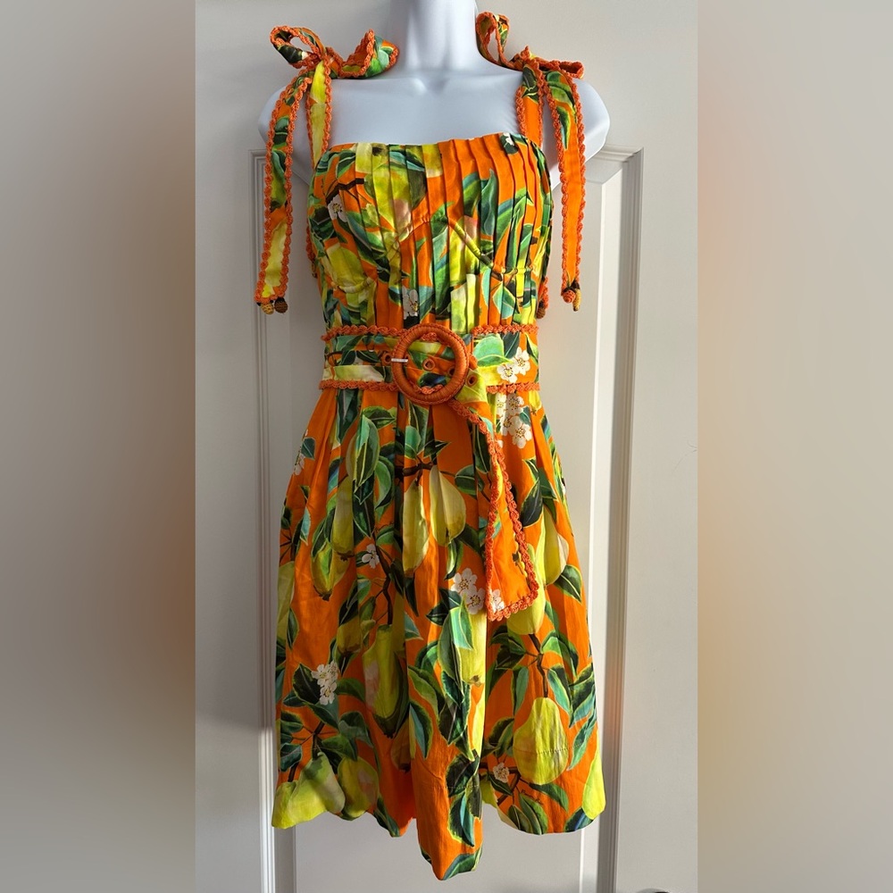 NWT Farm Rio Chic Pears mini dress - Picture 4 of 14